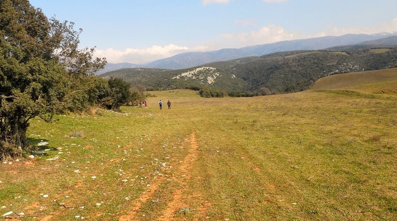 Βοιωτία: Σύρος αγόρασε χωράφι και για να το κάνει μουσουλμανικό… νεκροταφείο!